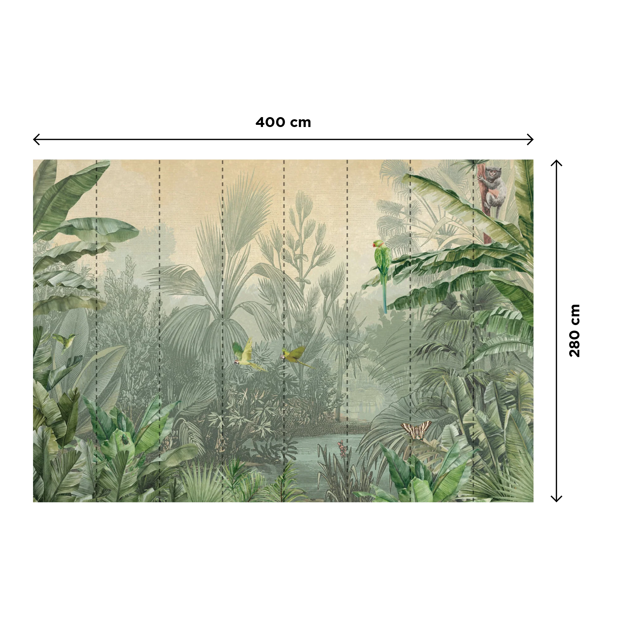 MALDONADO - Image 3
