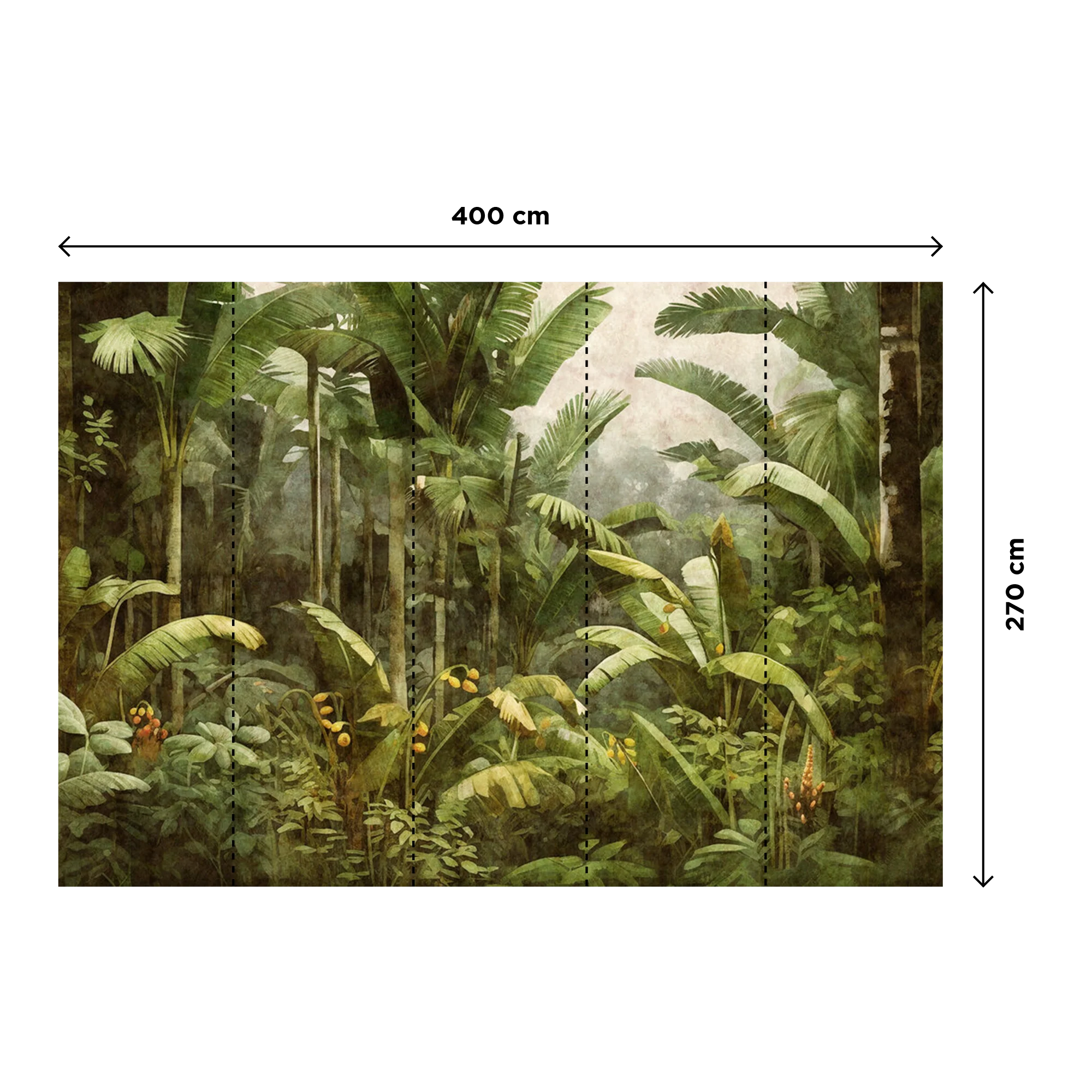 PLATORICO - Image 3