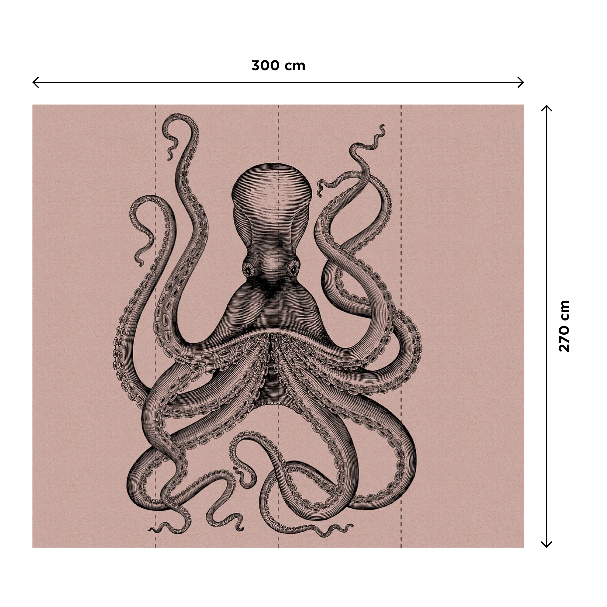 POLPITO - Image 3