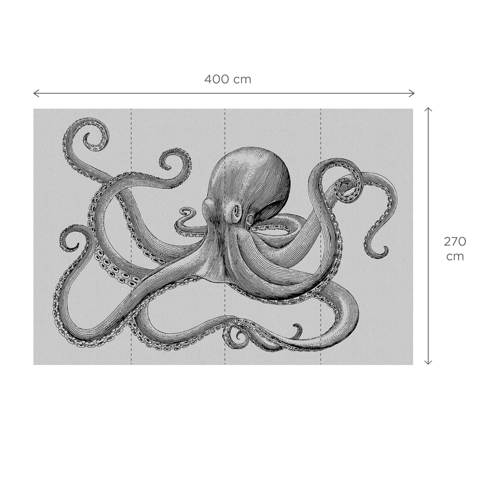 POLPO - Image 3