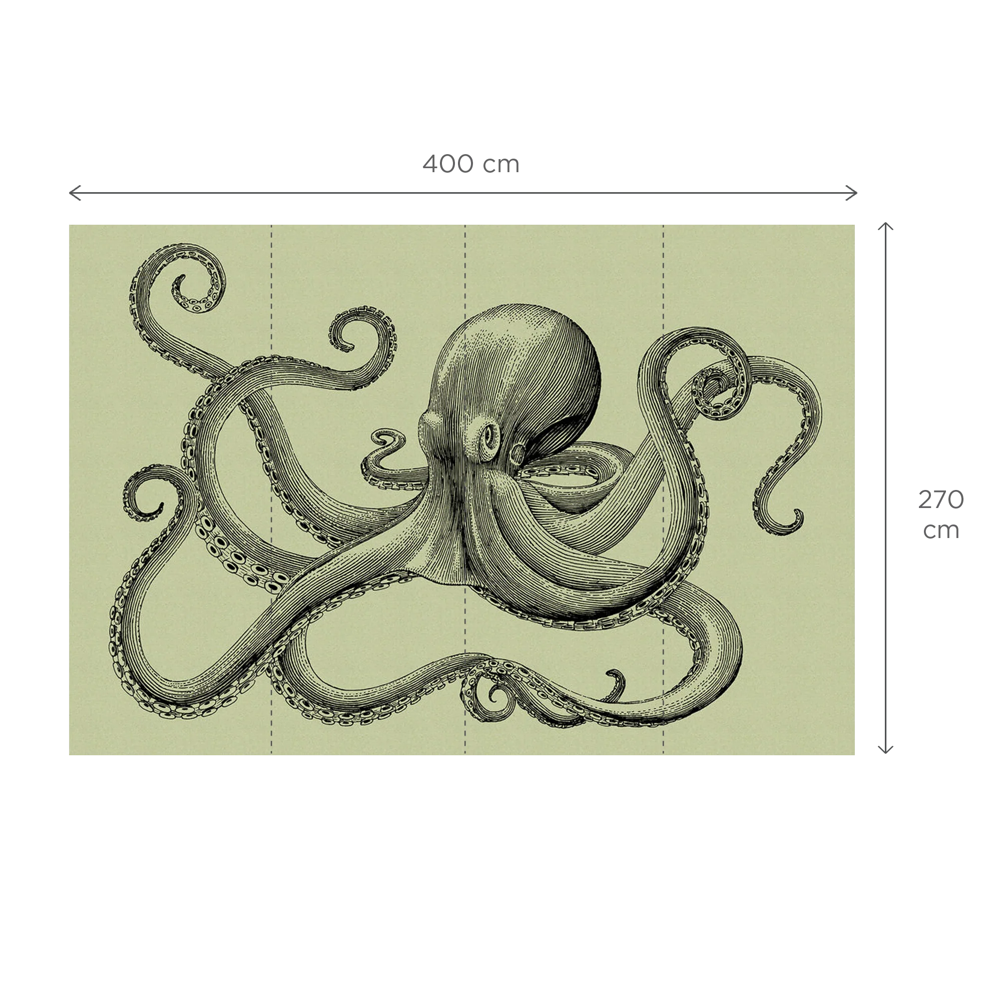 POLPO - Image 3
