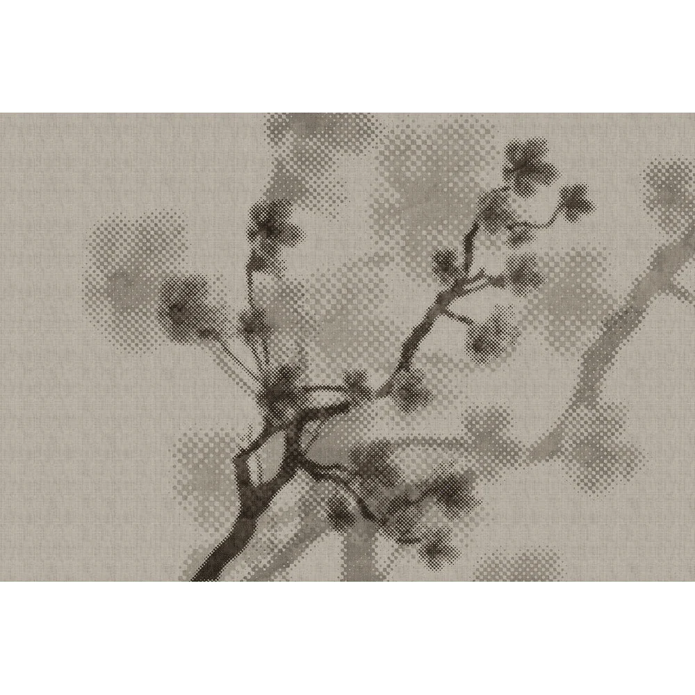 RAMA - Image 2