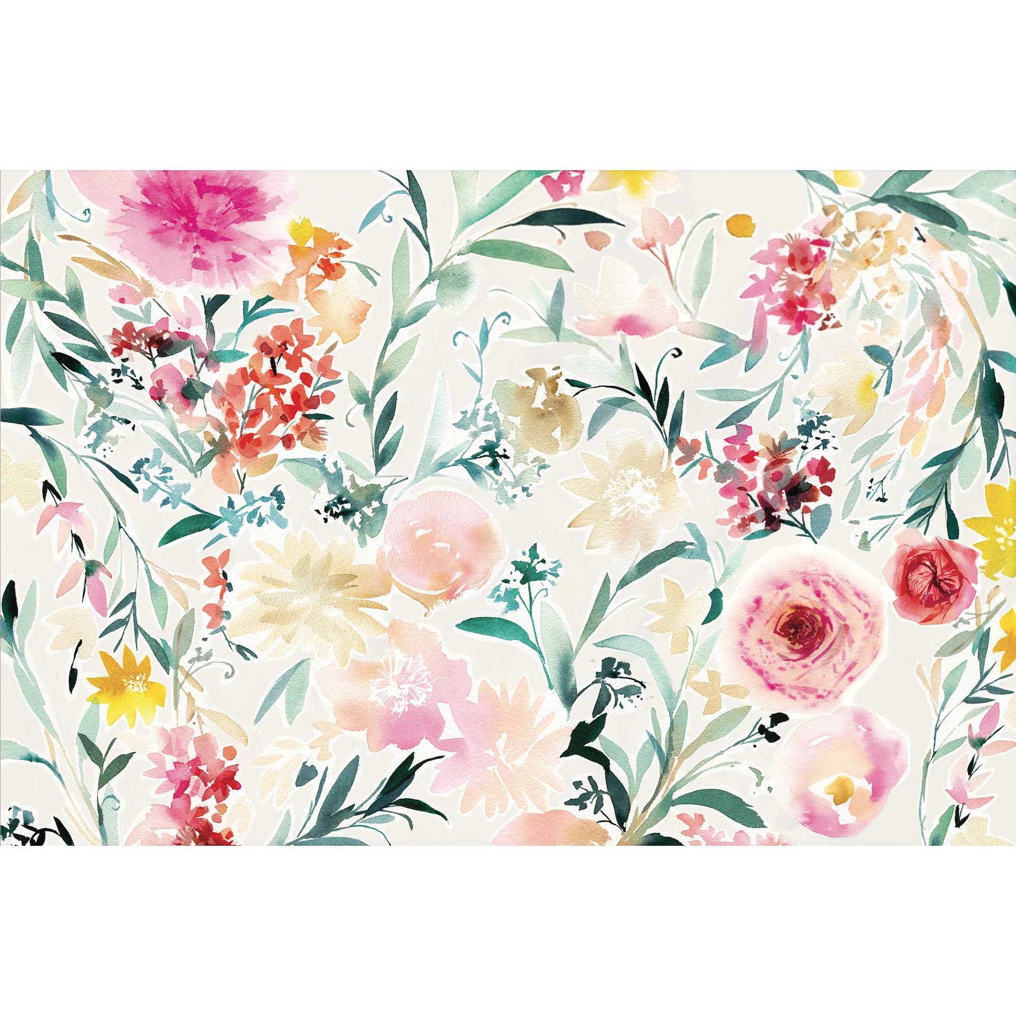 ROSALIA - Image 2