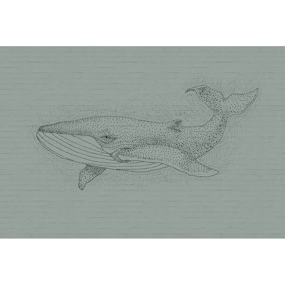 WALLY - Image 2