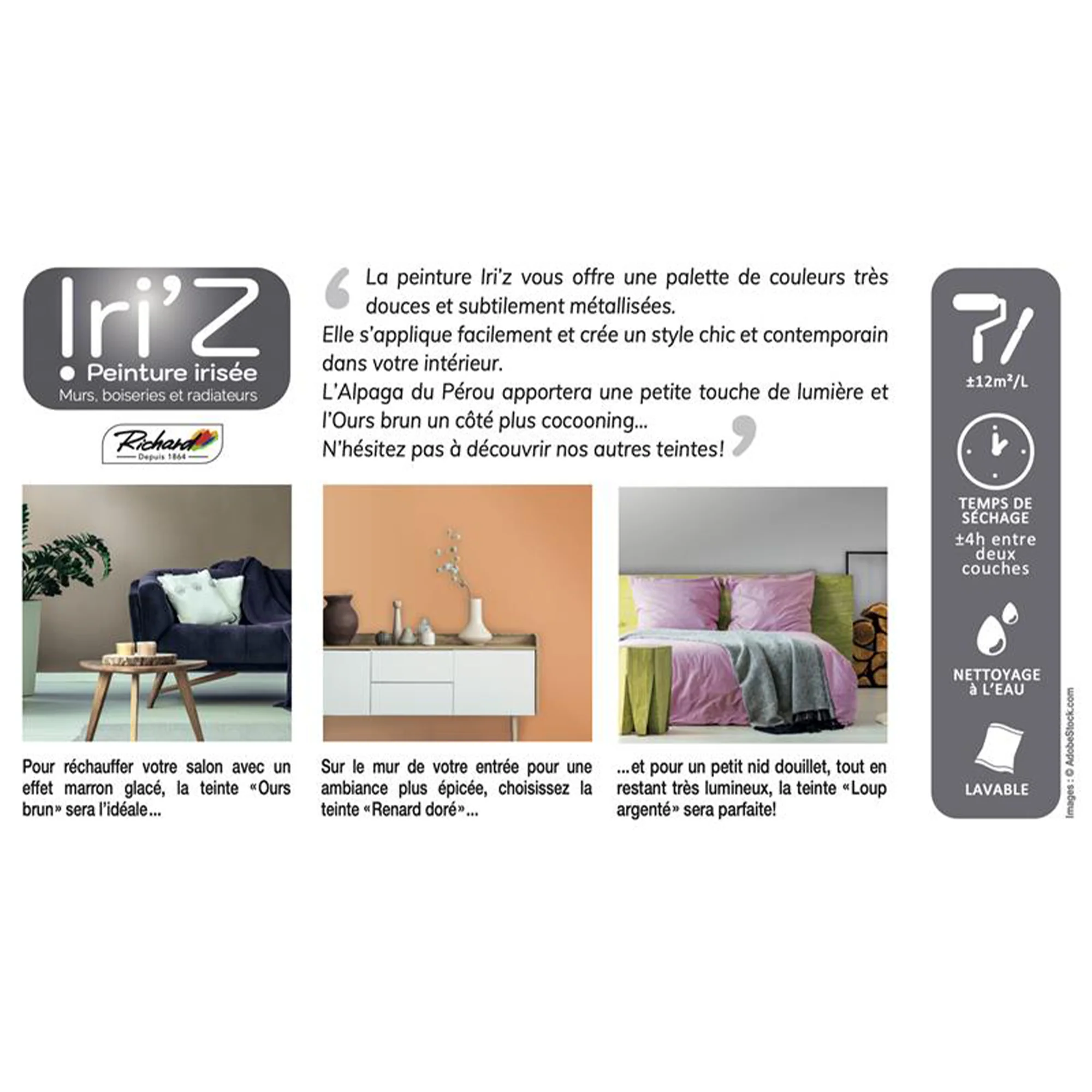 IRIZ - Image 4