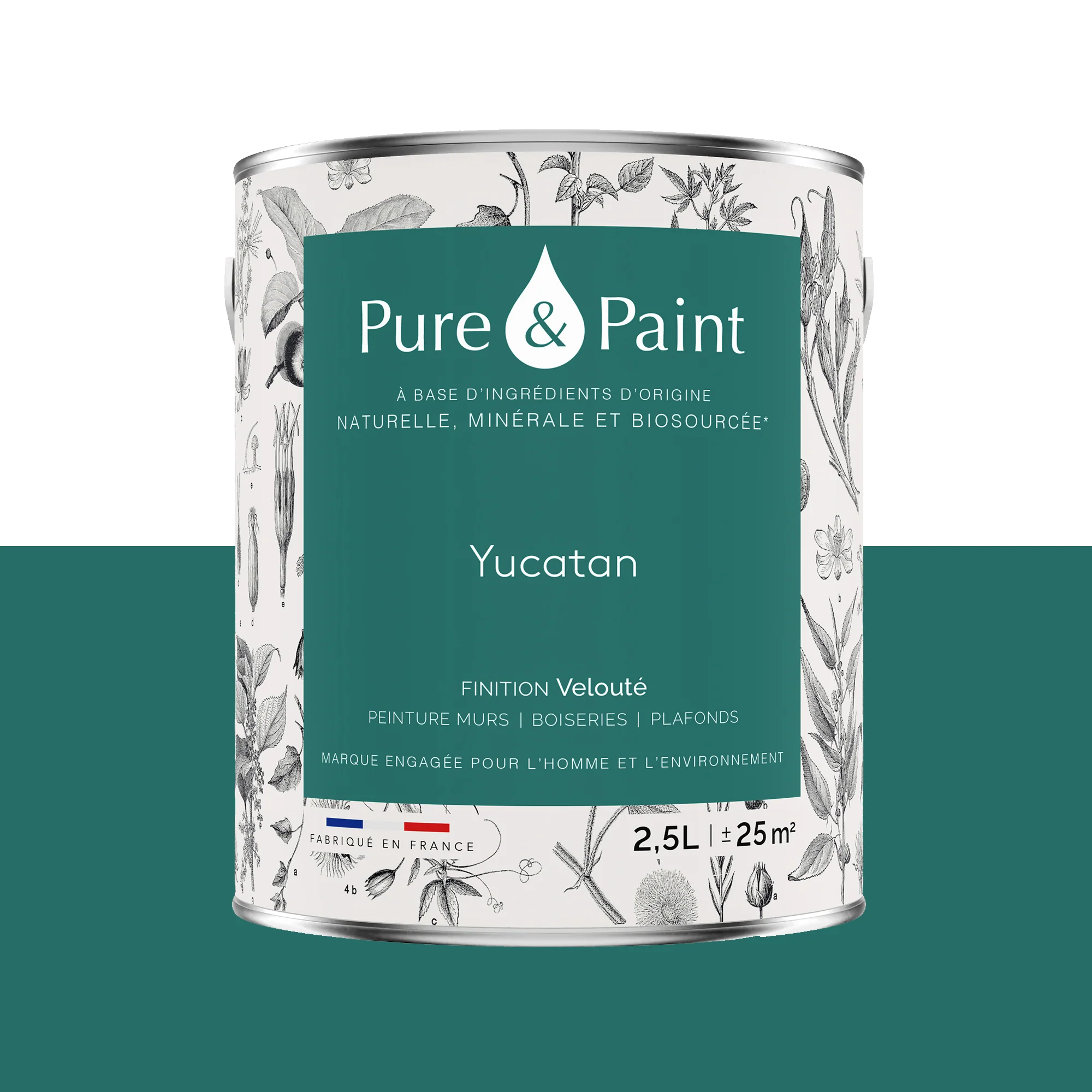 PURE AND PAINT - Image 2