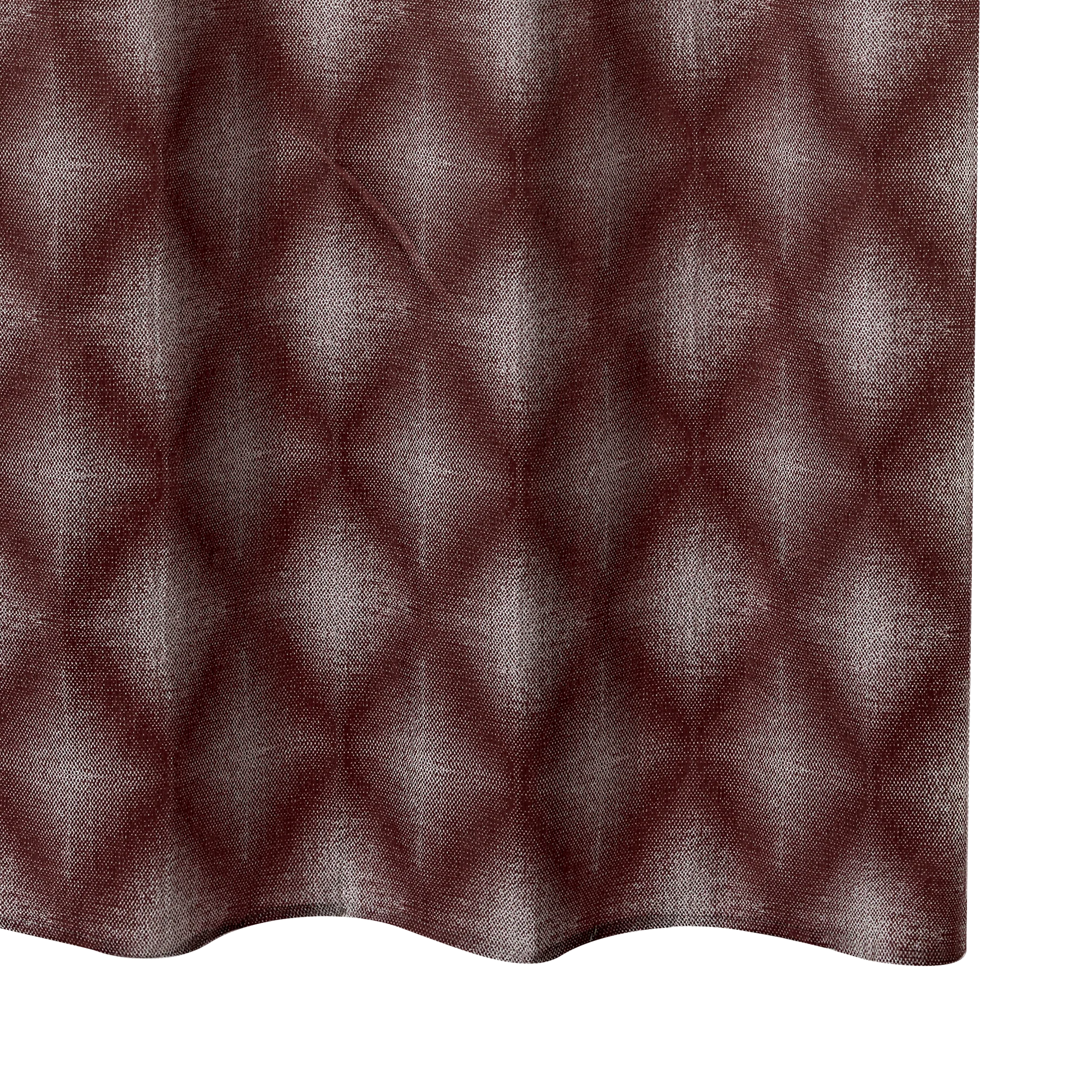 ASSELA - Image 5