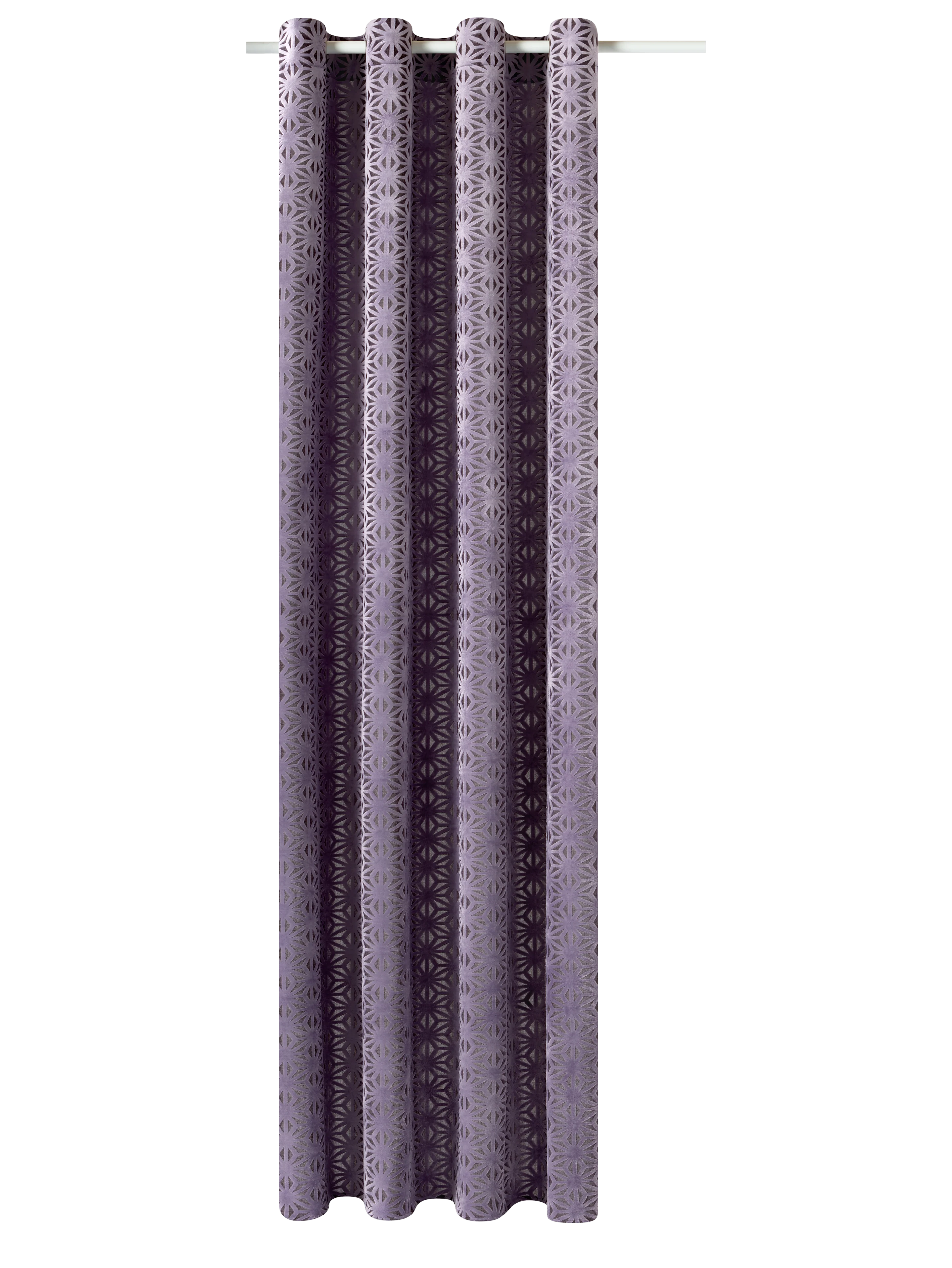 PRESTIGE - Image 3