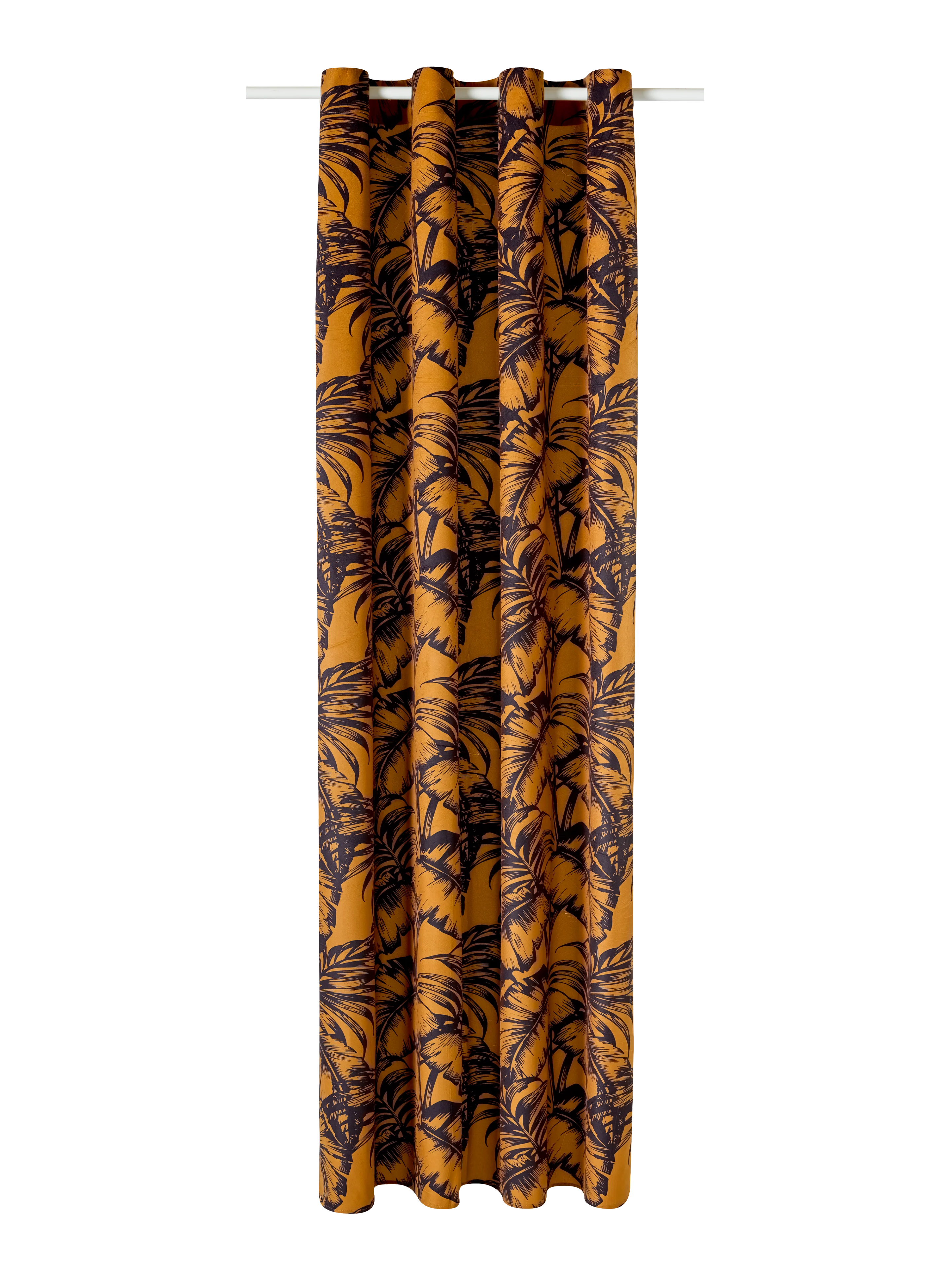 RENDA - Image 3