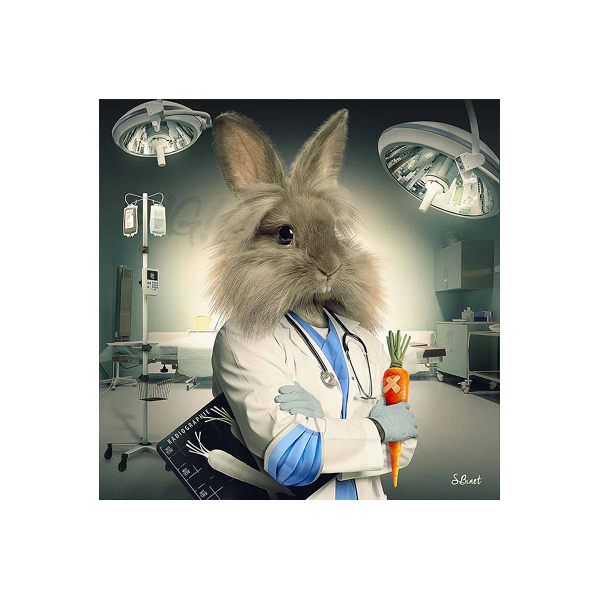 BINET LAPIN INFIRMIER