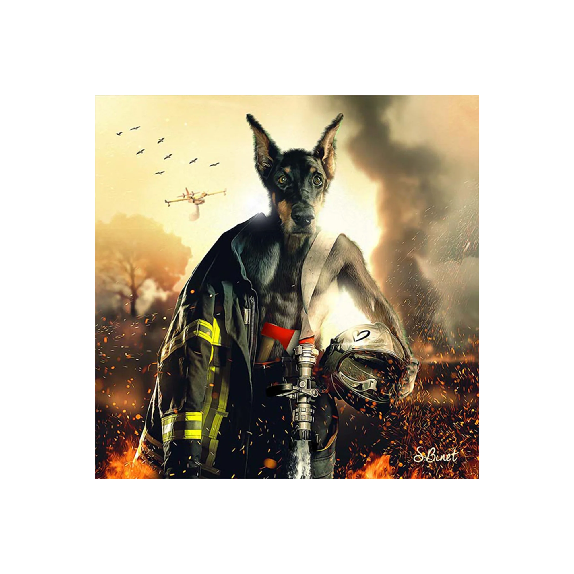 BINET POMPIER DOBERMANN