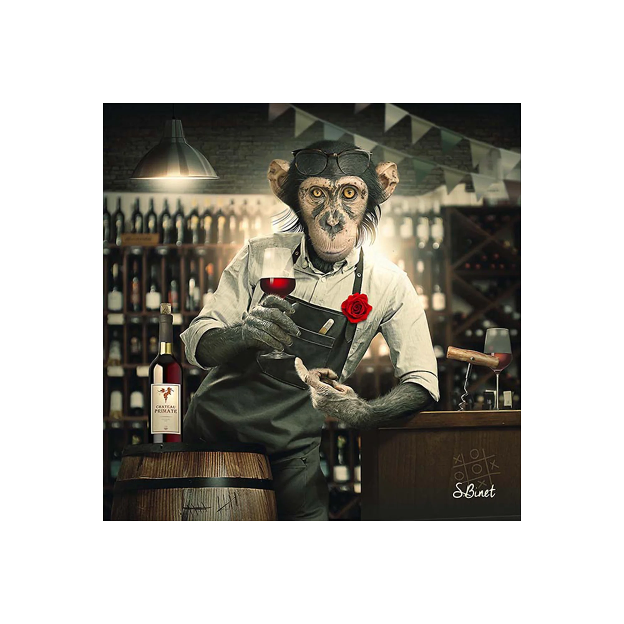 BINET SINGE CAVISTE