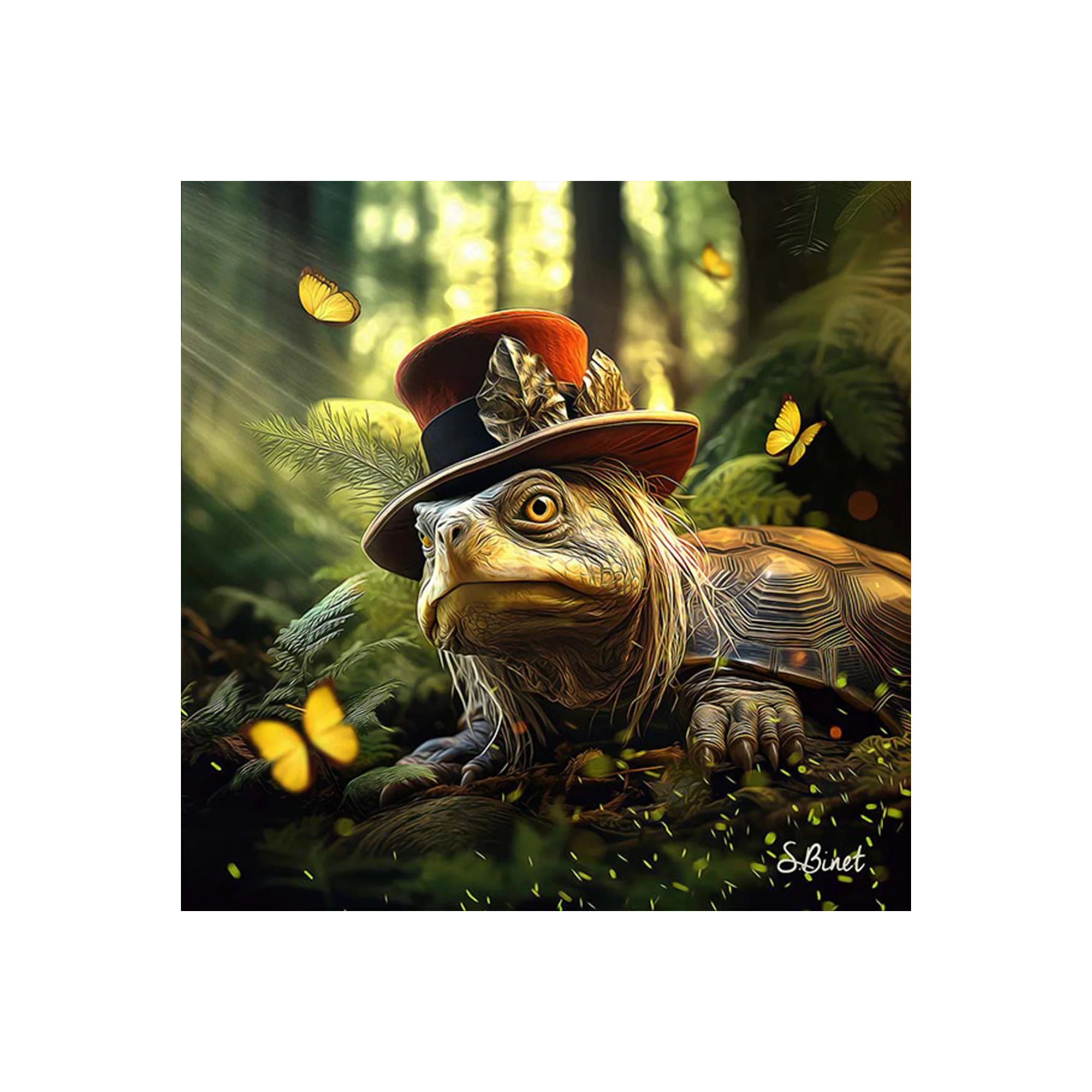 BINET TORTUE FANTASTIQUE