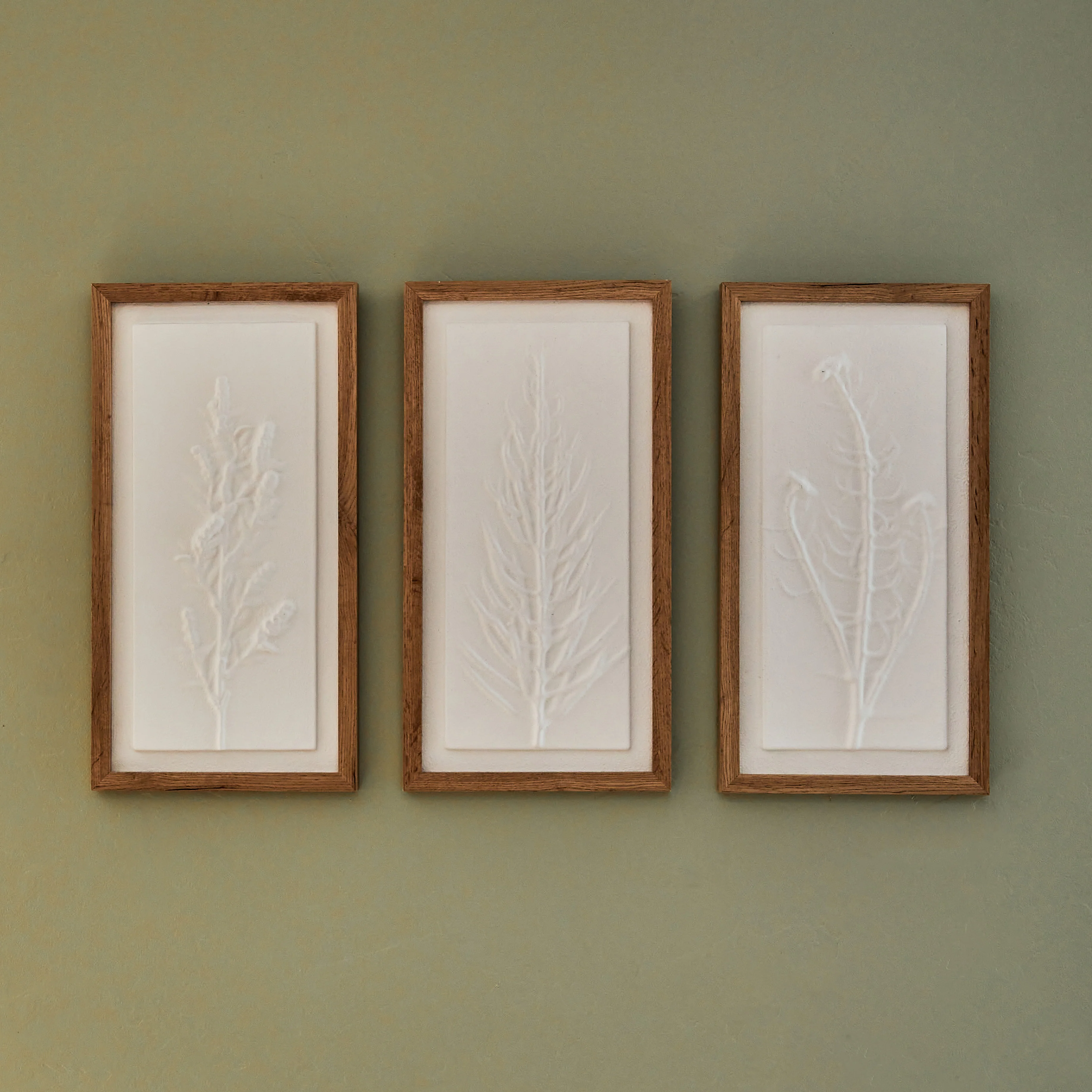 FLORA - Image 2