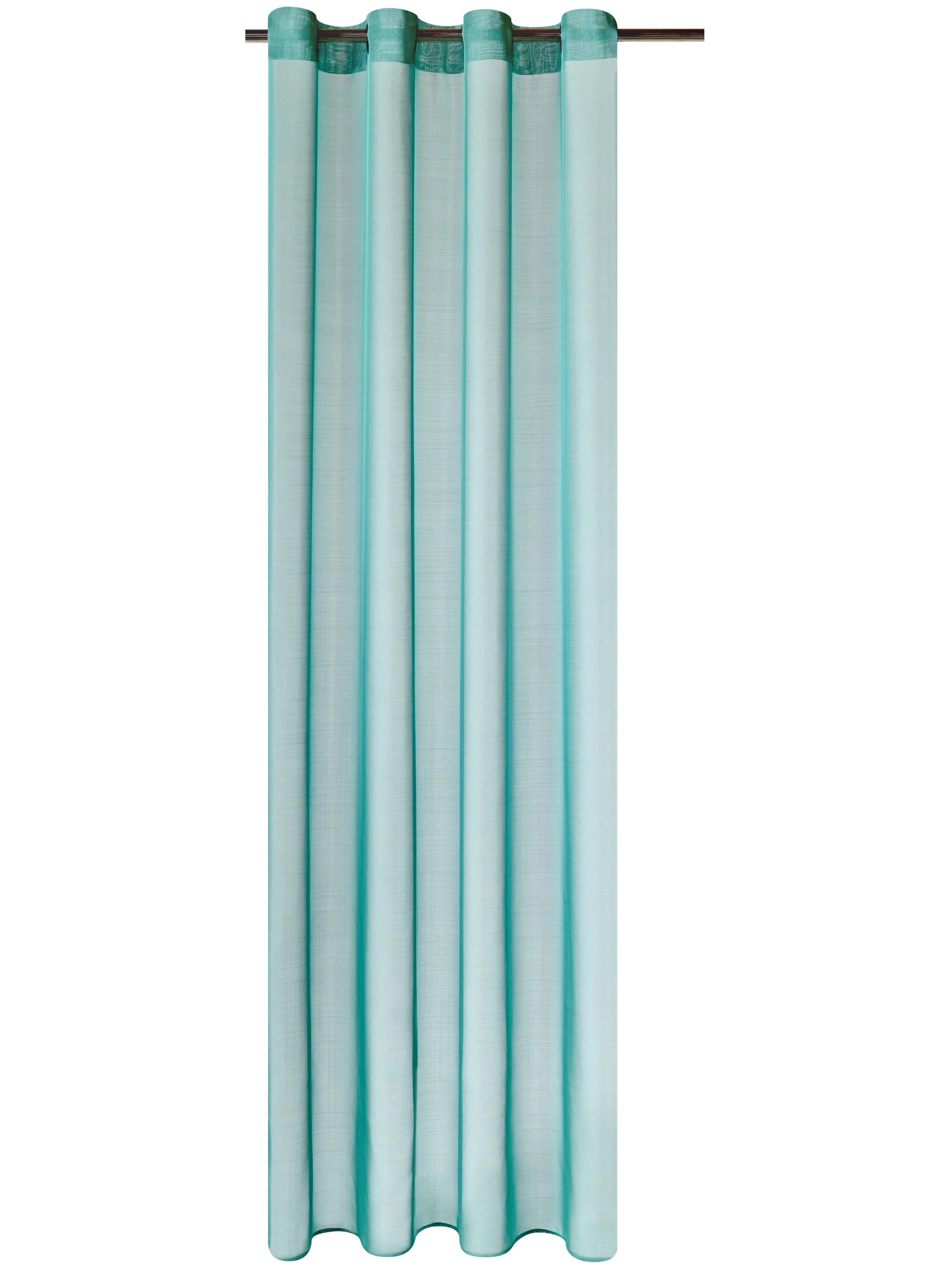 ÉTAMINE GIVRÉE - Image 3