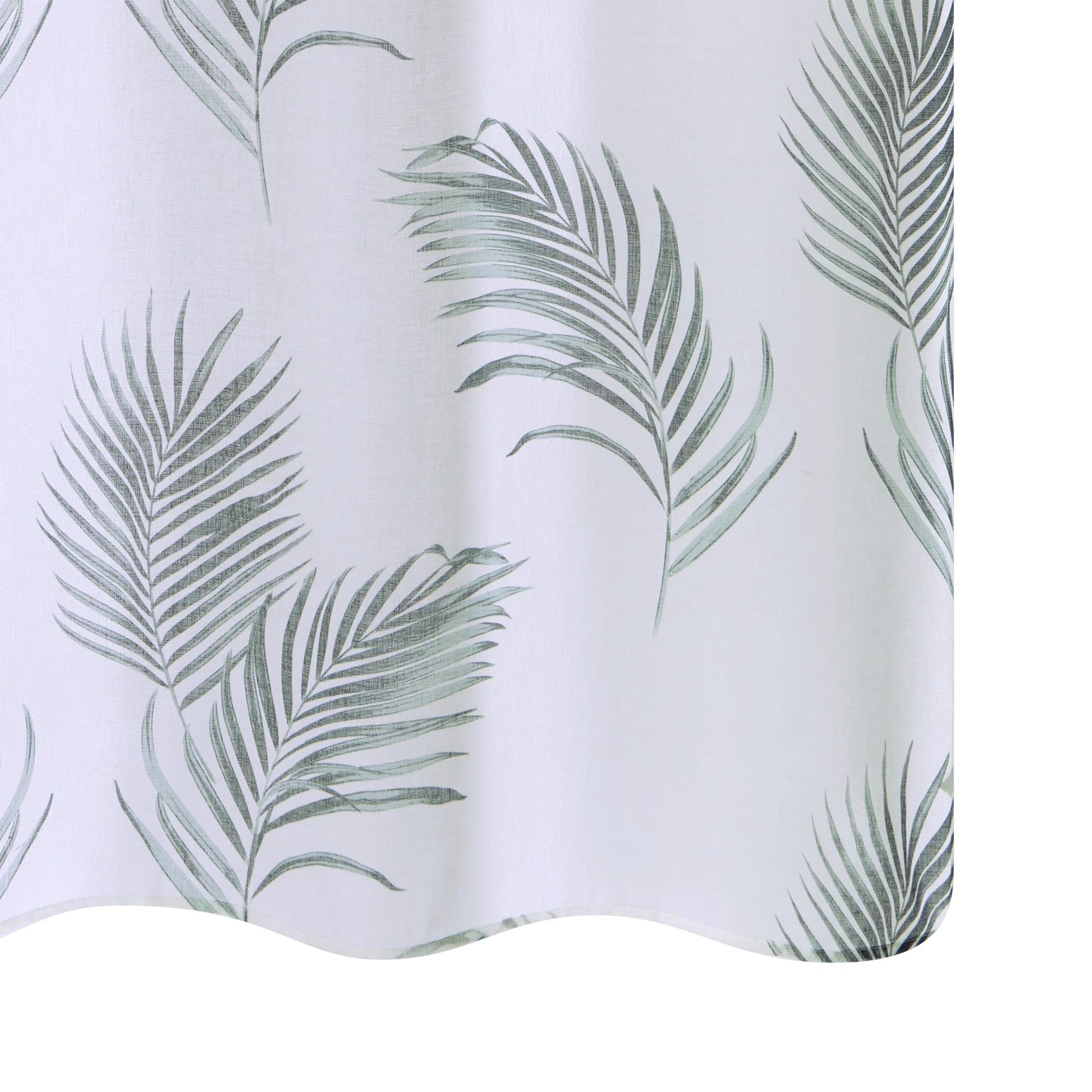 OMBRA - Image 5